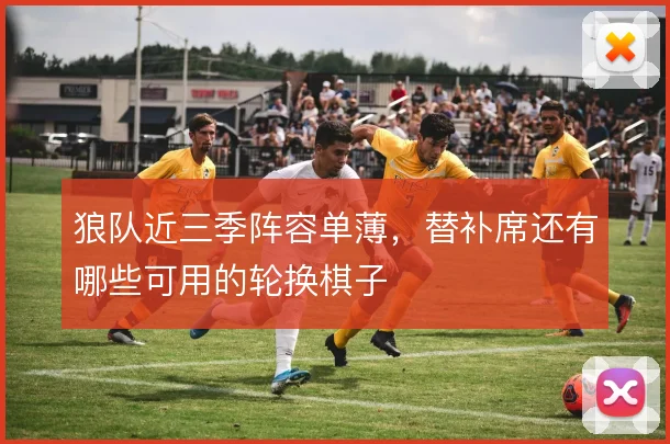 狼队近三季阵容单薄,替补席还有哪些可用的轮换棋子
