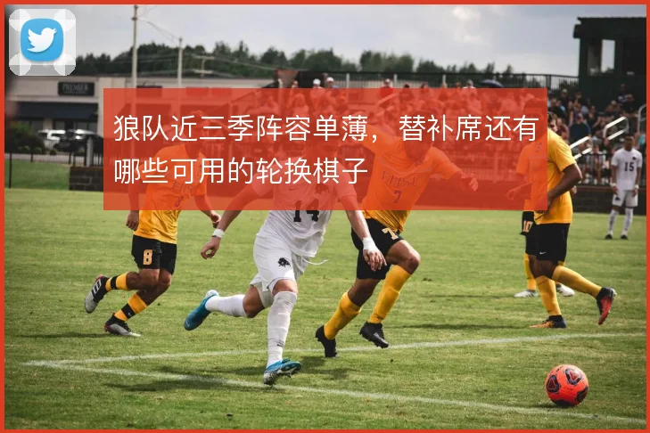狼队近三季阵容单薄,替补席还有哪些可用的轮换棋子
